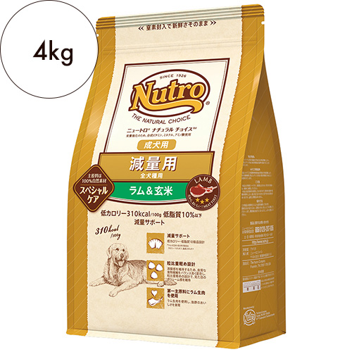 j[g i``CXyʗpzSp p & 4kg