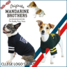 }_uU[YyMANDARINE BROTHERSzCollege Logo Sweat Green