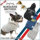 }_uU[YyMANDARINE BROTHERSzCollege Logo Parka Gray