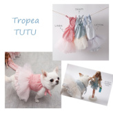 CXhbOylouisdogzTropea TUTU