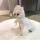 CXhbOylouisdogzMy Cardigan