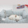 CXhbOylouisdogzMini Pillow