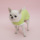 CXhbOylouisdogzRibbon Sleeveless Organic Tee