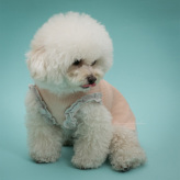 CXhbOylouisdogzCreamy Frill Sleeveless Tee/Buttercream