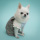 CXhbOylouisdogzCreamy Frill Sleeveless Tee/Baby Powder