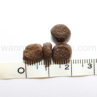 ybgJCh gCvhC Lbgt[h O[gCvnCV[Y 1.81kg