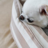 CXhbOylouisdogzGLAM Boom Grand