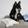 CXhbOylouisdogzAutumn Dream Pillow/BEDROOM