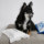 CXhbOylouisdogzAutumn Dream Pillow/BEDROOM